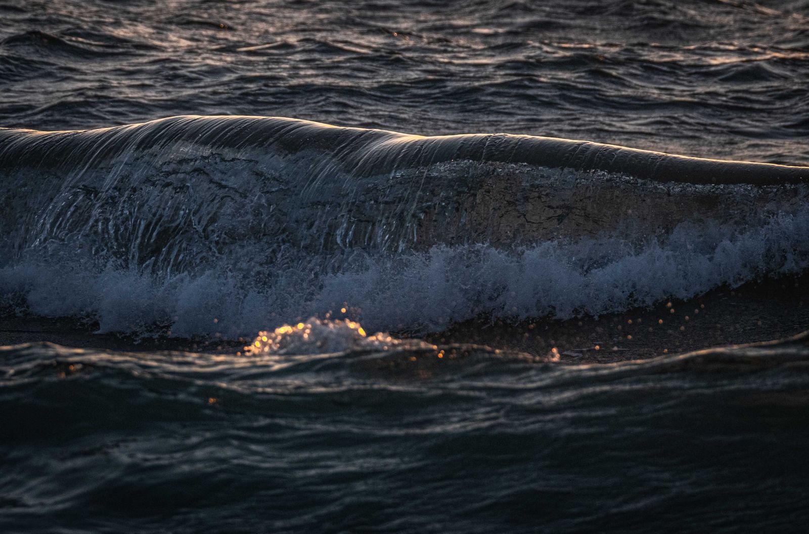 A wave crest at dusk