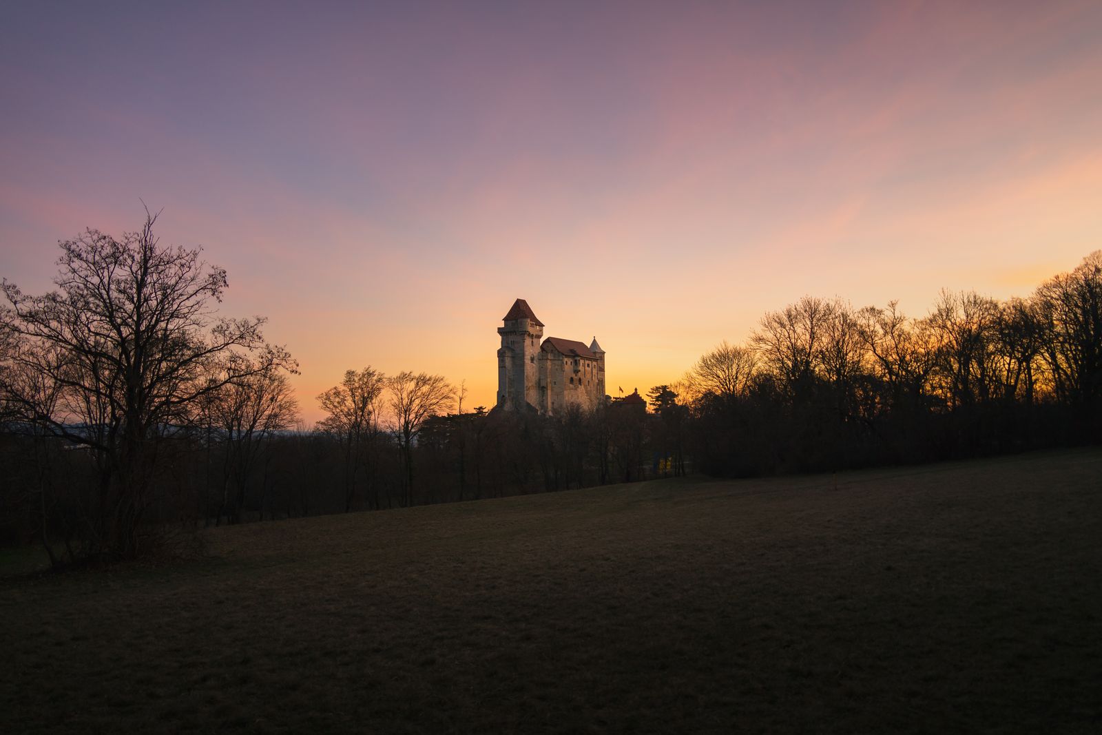A lone figure before a gothic castle