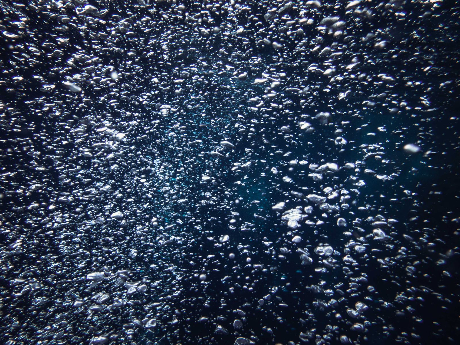 Bubbles rising in blue light