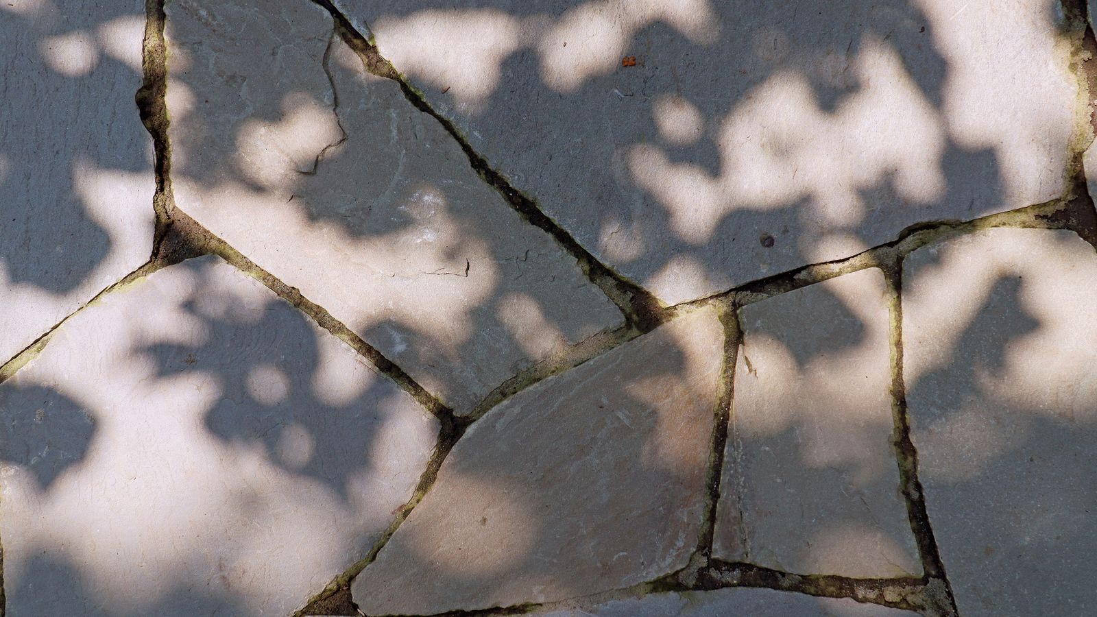 Cracked stone in shadow